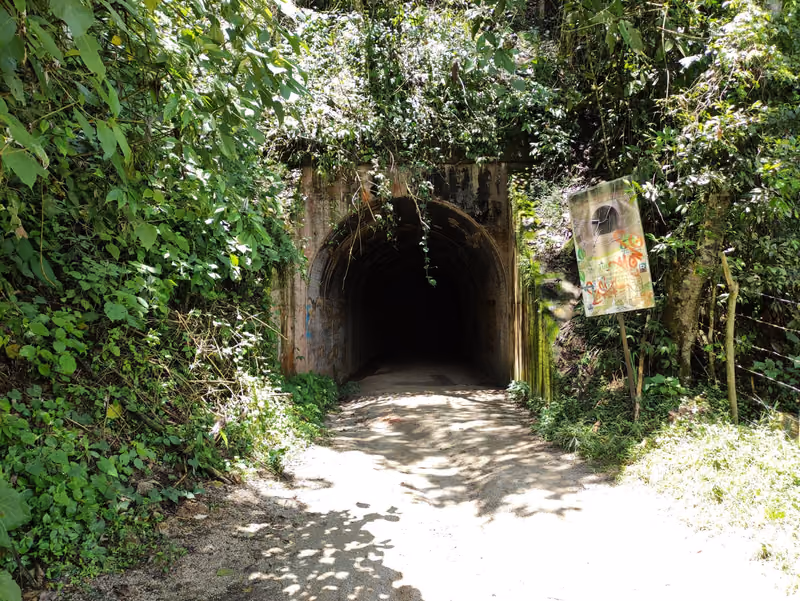 Eingewachsener Tunnel der alten Bahnlinie